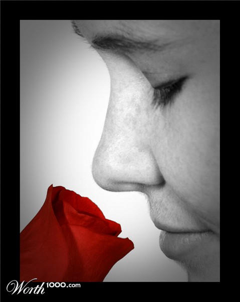 Photography by drdonallen