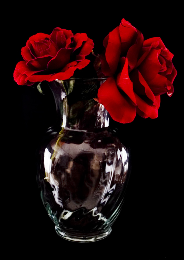 Photography by burns529 for DesignCrowd (Community Contests) | Design #8998982