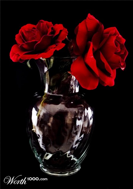 Photography by burns529