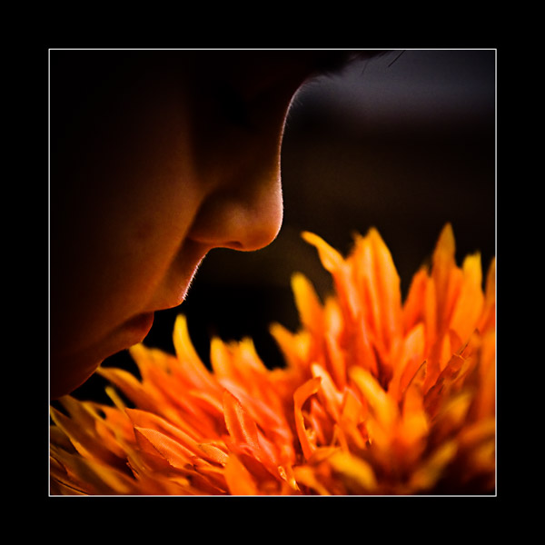 Photographie par nedens pour DesignCrowd (Community Contests) | Design #8996761