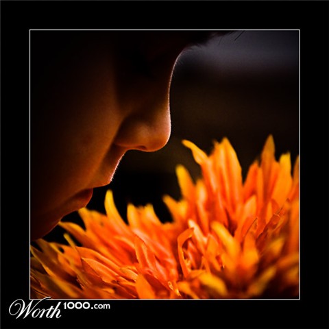 Photography by nedens