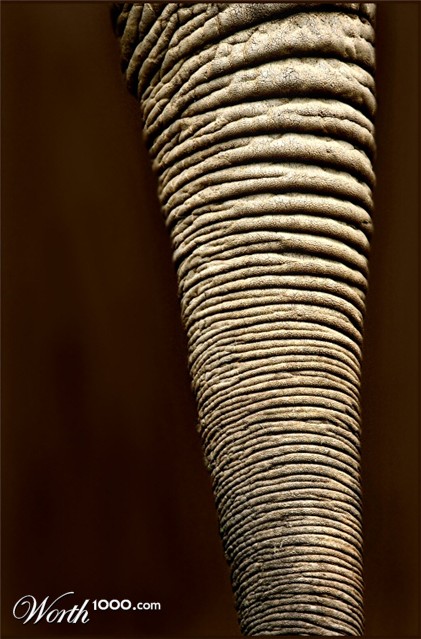 Photography by Juicer