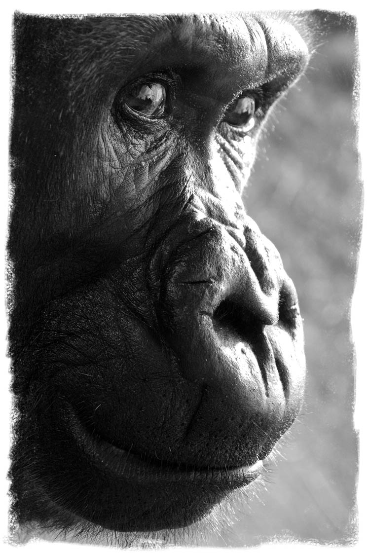 Photography by Craigr1978 for DesignCrowd (Community Contests) | Design #8996770