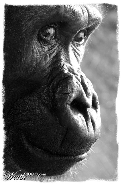 Photography by Craigr1978