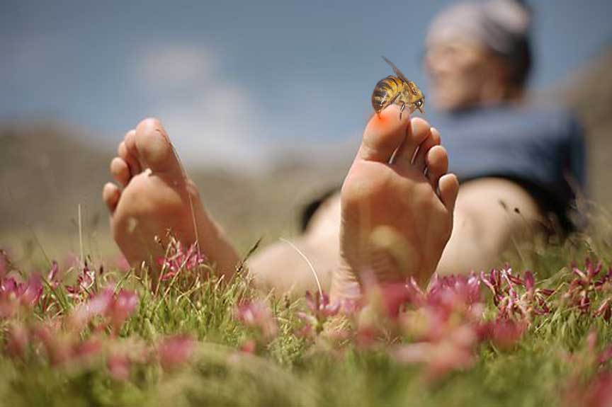 Diseño de Photoshop por bennyandthemets para DesignCrowd (Community Contests) | Diseño #8996691