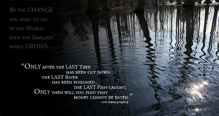 Photography by annebrogdon for DesignCrowd (Community Contests) | Design #8996413