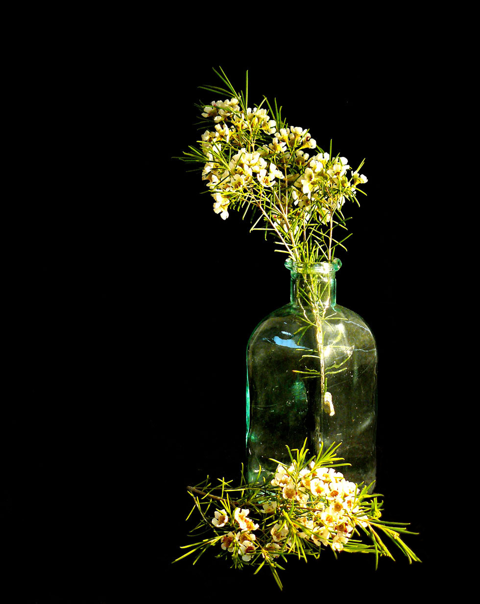 Photography by sgatanstu for DesignCrowd (Community Contests) | Design #8998978