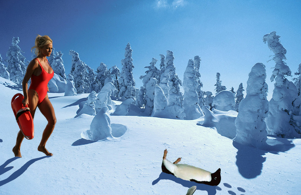 Photoshop Design by bicyclewilli for DesignCrowd (Community Contests) | Design #8996698