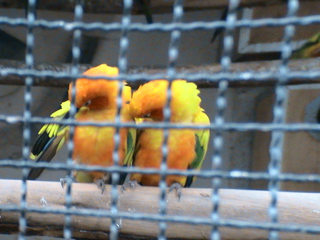 Photography by sudiptatatha for DesignCrowd (Community Contests) | Design #8994159