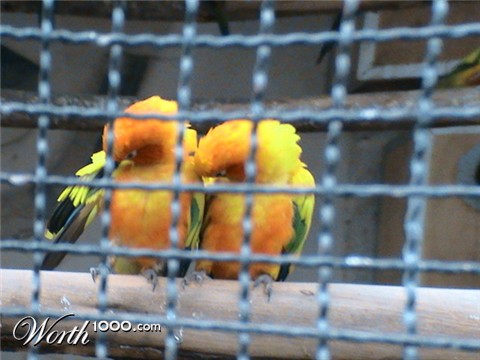 Photography by sudiptatatha