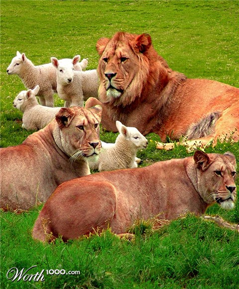 Photoshop Design by Mattagin