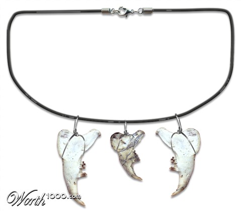 Photoshop Design by Qofcheez