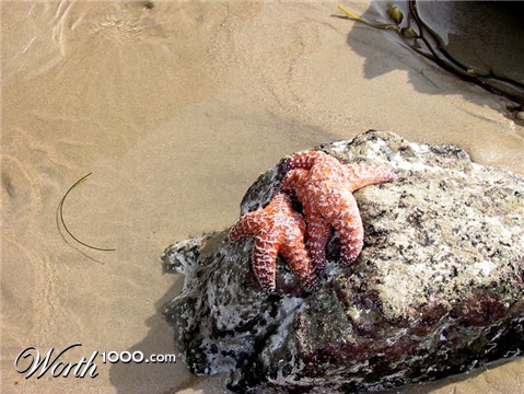 Photography by ClickChick