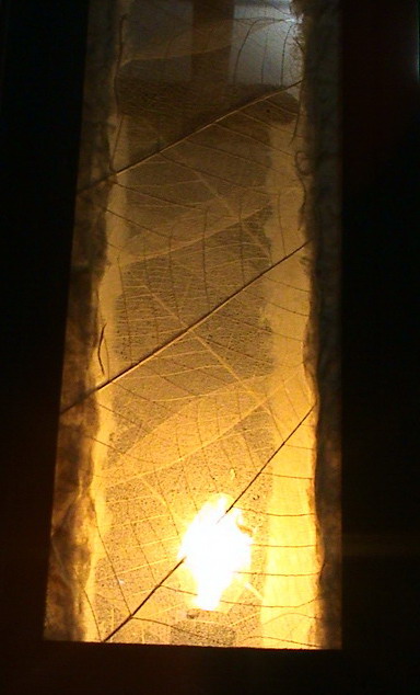 Photography by sudiptatatha for DesignCrowd (Community Contests) | Design #8999055