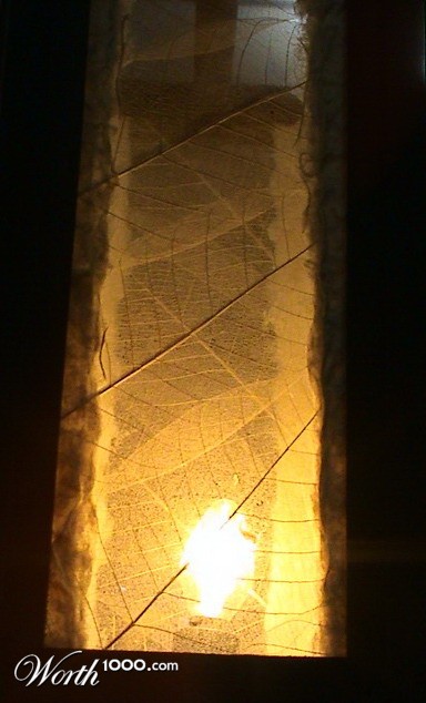 Photography by sudiptatatha
