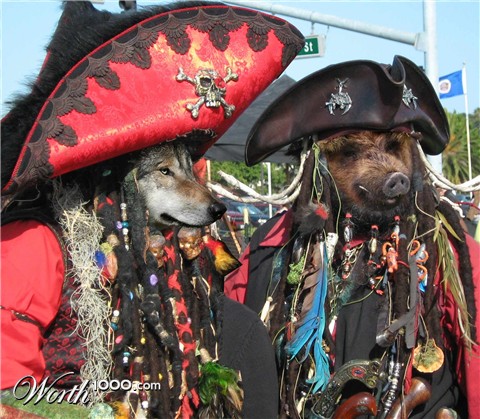 Photoshop Design by external