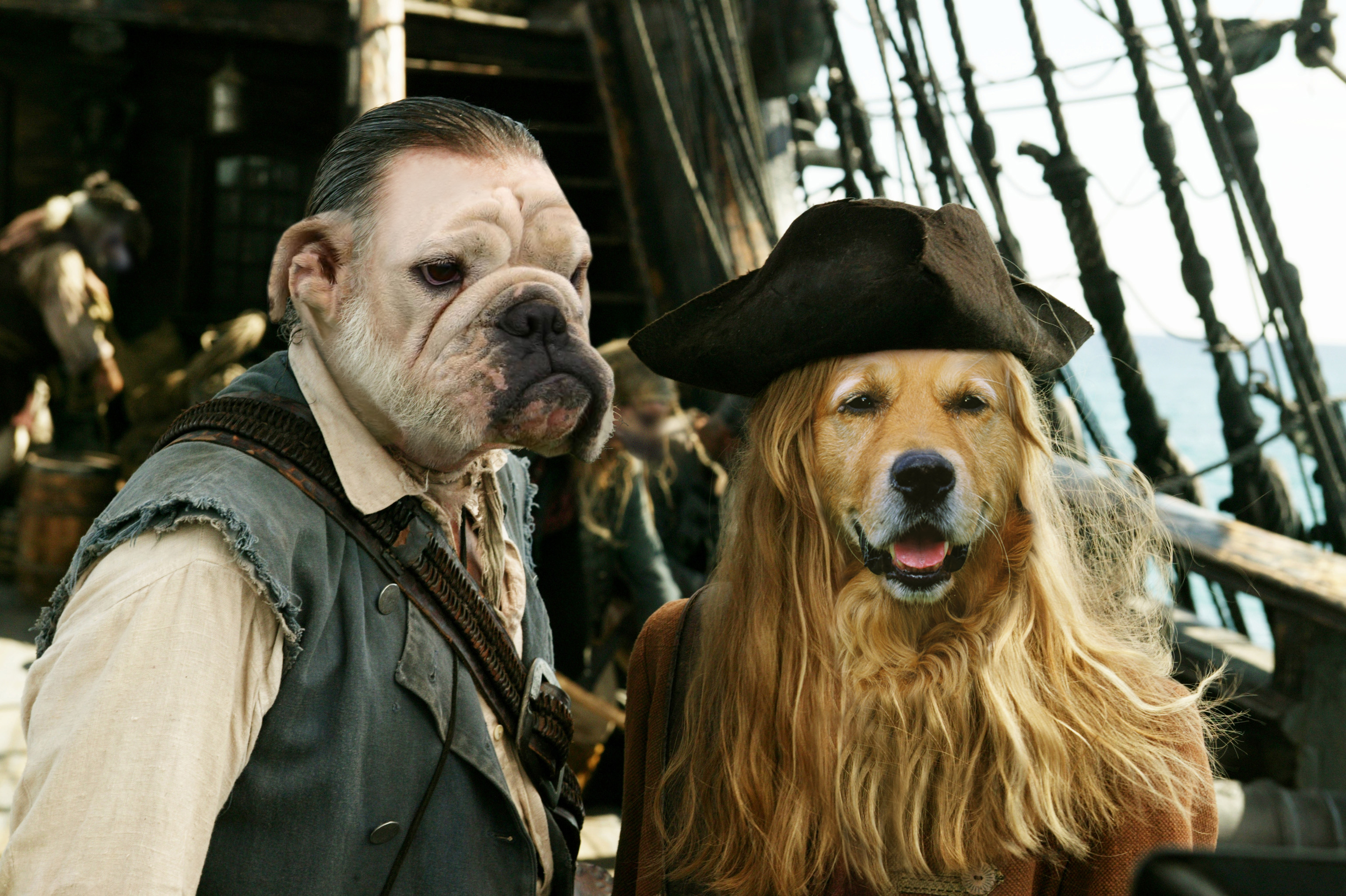 Photoshop-Design von Angrew für DesignCrowd (Community Contests) | Design #8997317