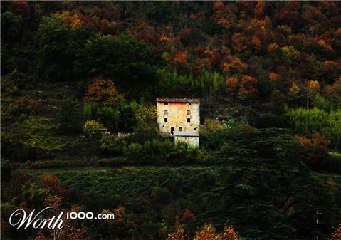 Photography by toscio