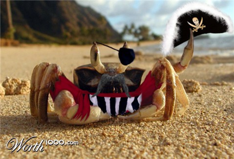 Photoshop Design by argosaries