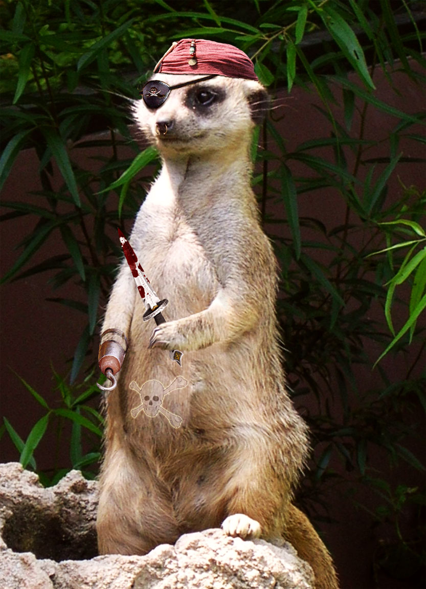 Photoshop Design by underworth for DesignCrowd (Community Contests) | Design #8997344