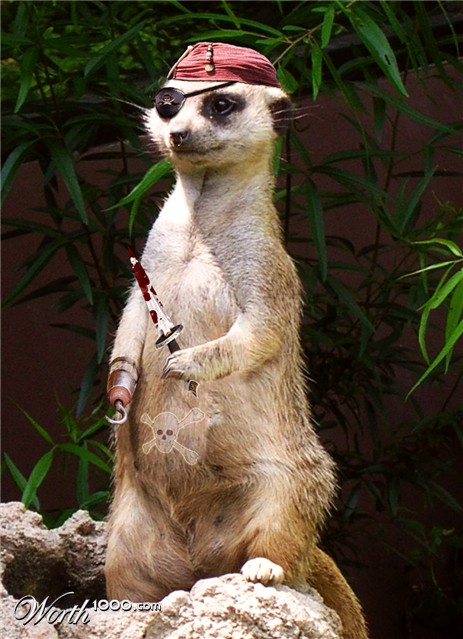 Photoshop Design by underworth