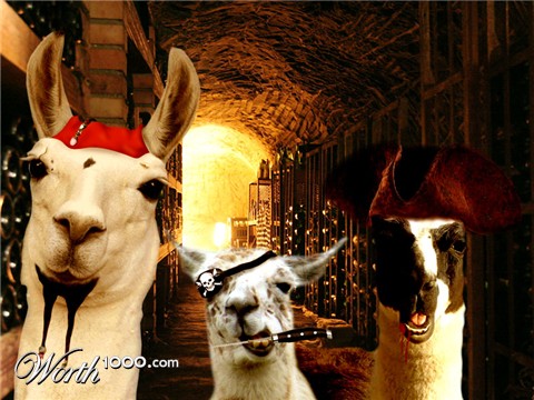 Photoshop Design by Bfq1988