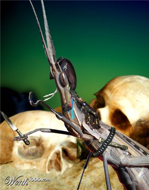 Photoshop Design by Sankrah