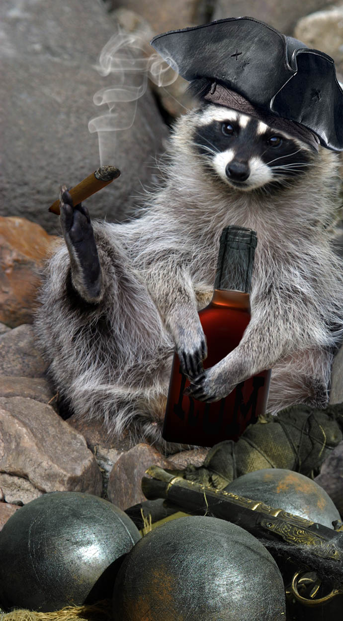 Photoshop Design by dzsuvajoe for DesignCrowd (Community Contests) | Design #8997403