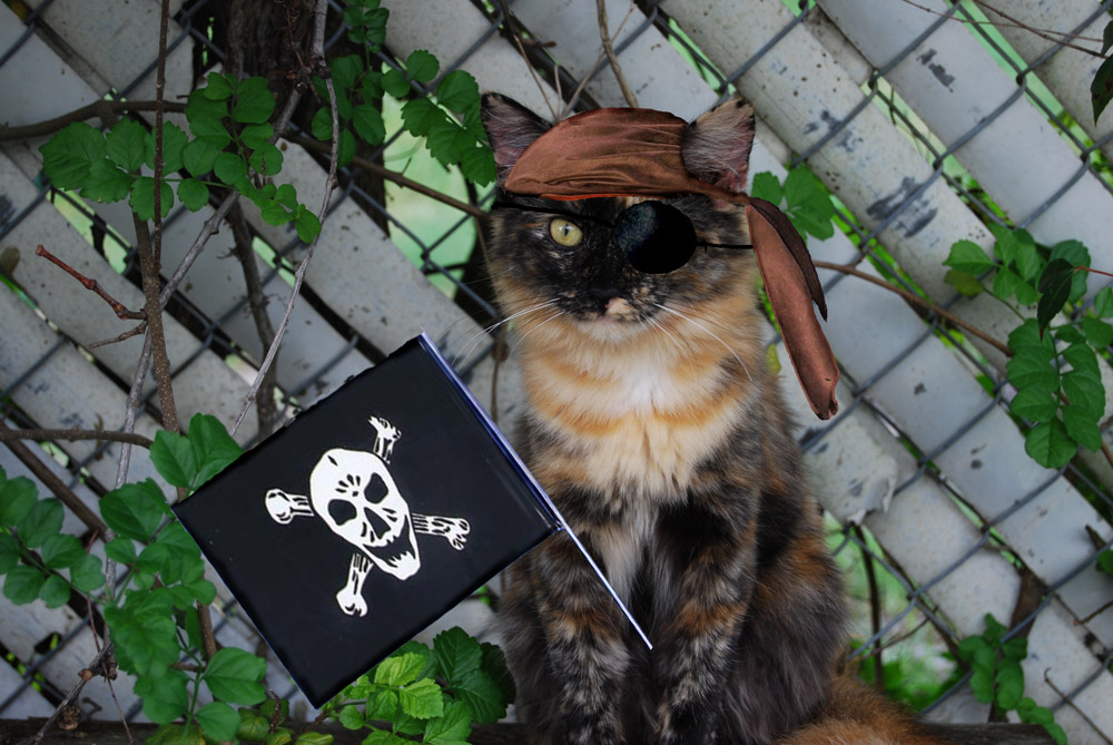 Design Photoshop par ivybabydoll pour DesignCrowd (Community Contests) | Design #8997398