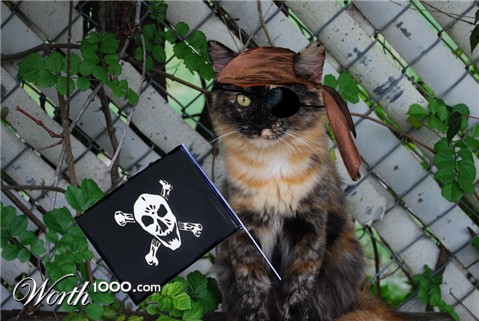 Photoshop Design by ivybabydoll