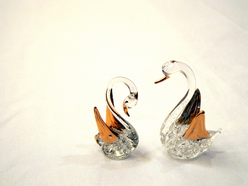 Photography by Megistus for DesignCrowd (Community Contests) | Design #8999122