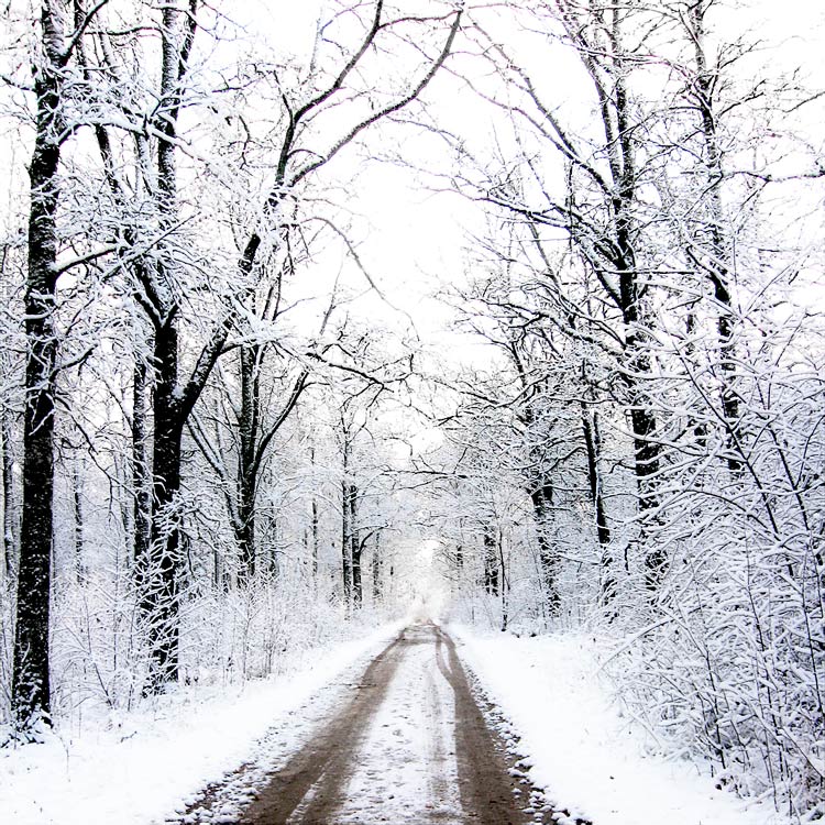 Photography by ManFromSun for DesignCrowd (Community Contests) | Design #8994540