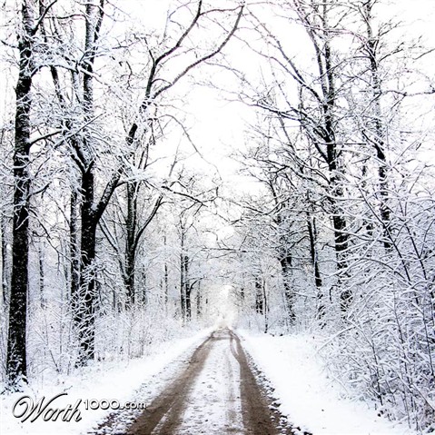 Photography by ManFromSun