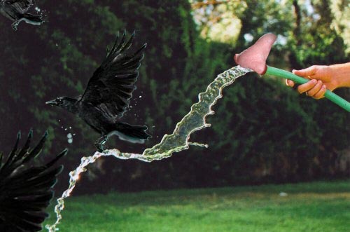 Photoshop-Design von Elephanto für DesignCrowd (Community Contests) | Design #8994418