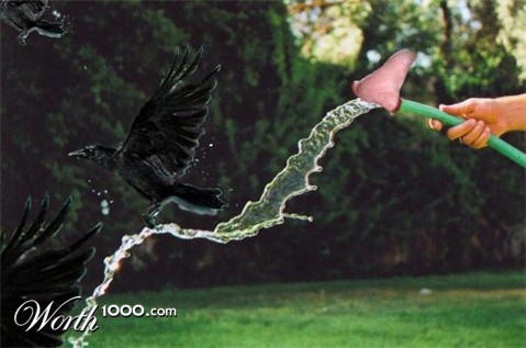 Photoshop Design by Elephanto