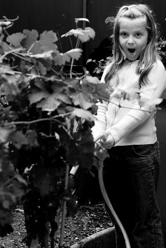 Photography by BenBraddock for DesignCrowd (Community Contests) | Design #9001607