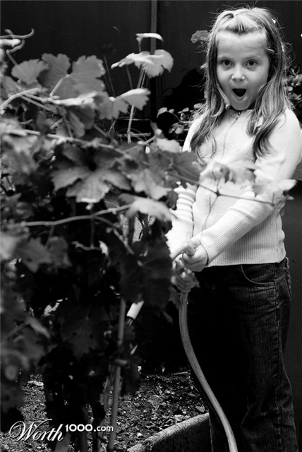 Photography by BenBraddock