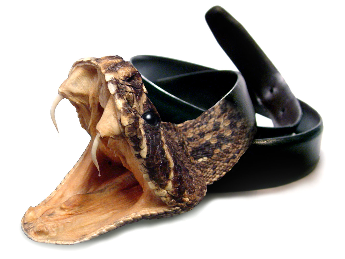 Diseño de Photoshop por tr3nt para DesignCrowd (Community Contests) | Diseño #8997202