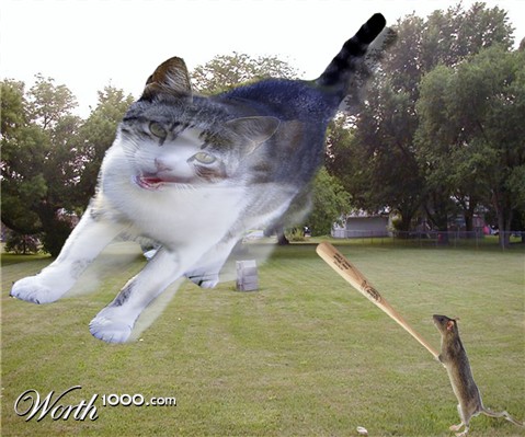 Photoshop Design by MasterDice