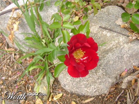 Photography by narinearraul