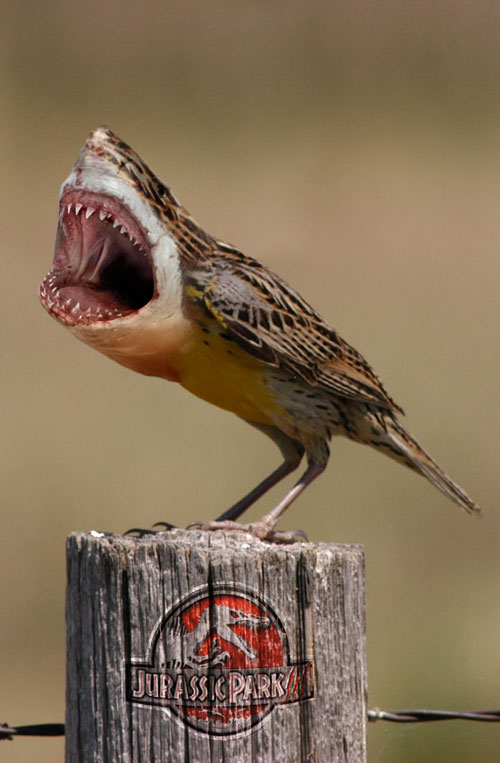 Photoshop Design by Killington for DesignCrowd (Community Contests) | Design #8994426