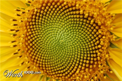 Photography by SgtPep