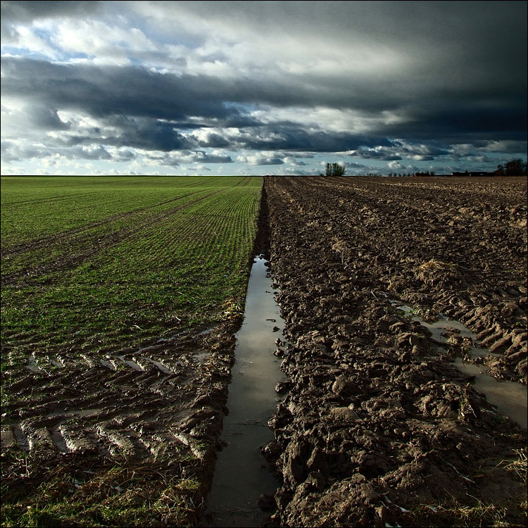 Photography by MasterGnu for DesignCrowd (Community Contests) | Design #8994547