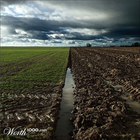 Photography by MasterGnu