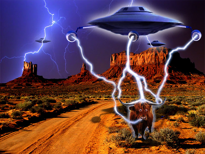 Design Photoshop par CRAZYLEGGSROGERS pour DesignCrowd (Community Contests) | Design #8994452