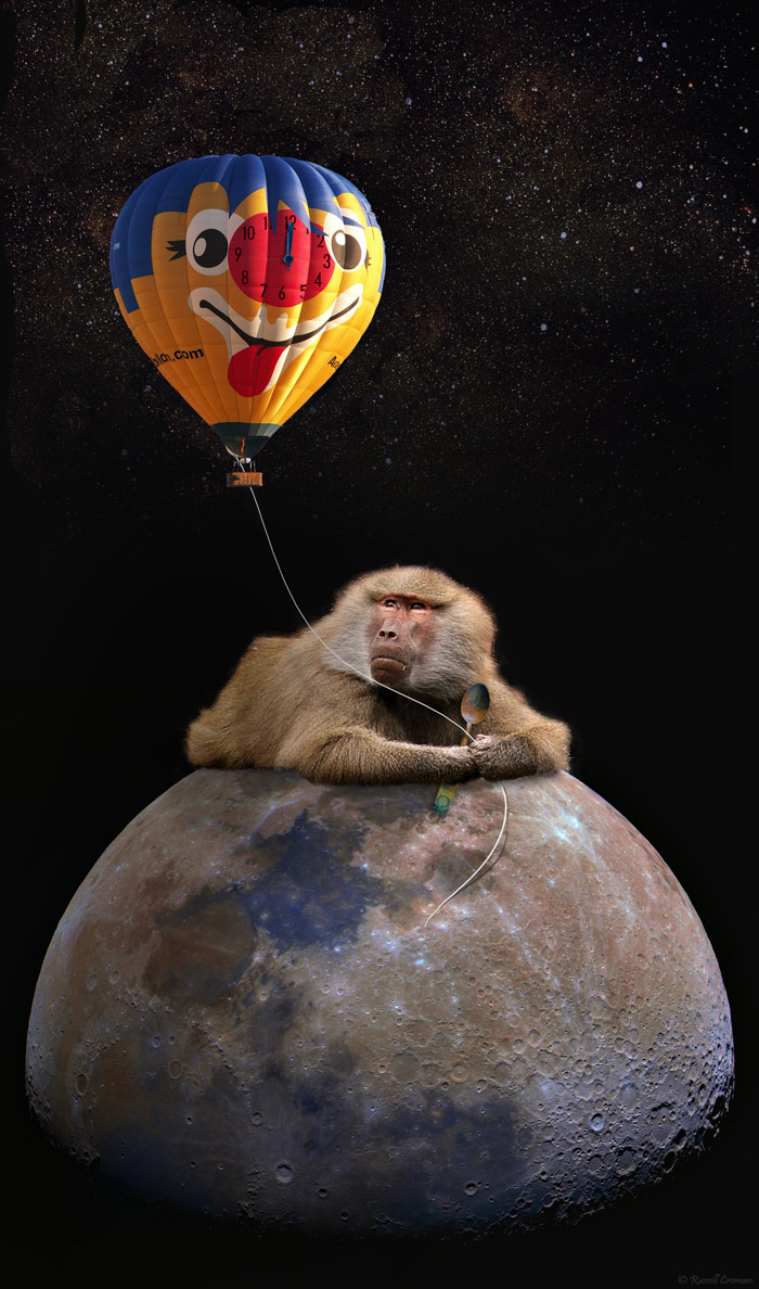 Photoshop-Design von Sassydeb für DesignCrowd (Community Contests) | Design #8994464