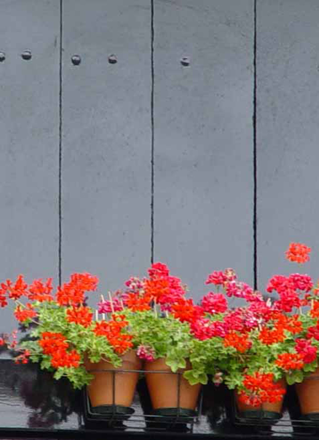 Photography by ljvgtj for DesignCrowd (Community Contests) | Design #8994340