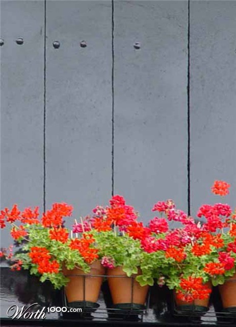 Photography by ljvgtj