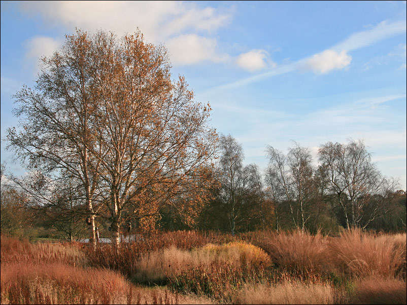 Fotografie von cycoze für DesignCrowd (Community Contests) | Design #8994568