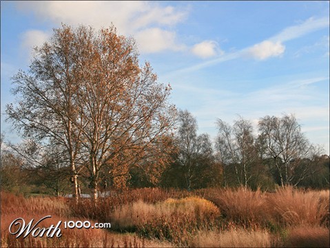 Photography by cycoze